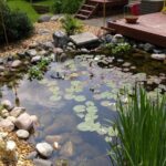 Pond LG G4 Camera shot